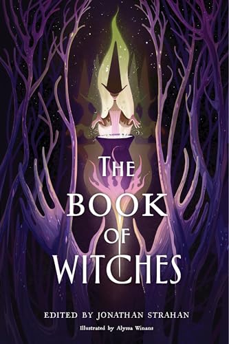 The Book of Witches book cover