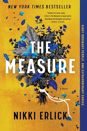The Measure : by Erlick, Nikki