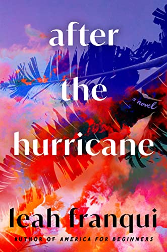 After the Hurricane book cover