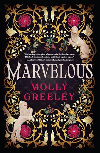 Marvelous book cover