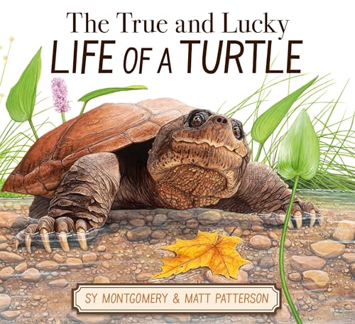 The True and Lucky Life of a Turtle book cover