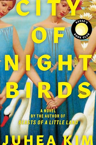 City of Night Birds book cover