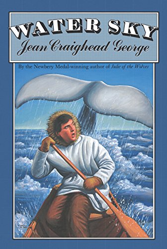 Water Sky book cover