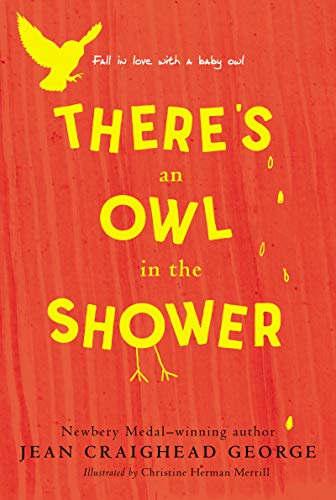 There's an Owl in the Shower book cover