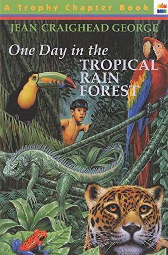 One Day in the Tropical Rain Forest book cover