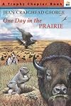 One Day in the Prairie