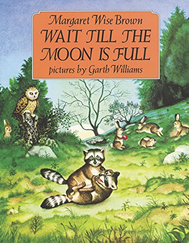 Wait Till the Moon Is Full book cover