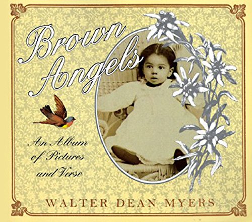 Brown Angels book cover