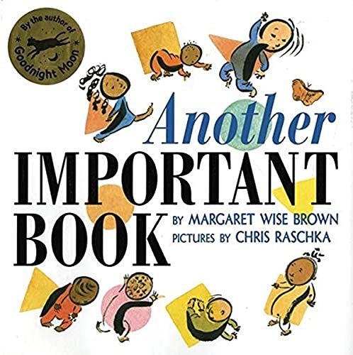 Another Important Book book cover