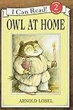 Owl At Home