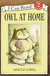 Owl at Home