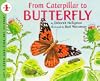 From Caterpillar to Butterfly (Let's-Read-and-Find-Out Science, Stage 1)