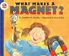 What Makes a Magnet?