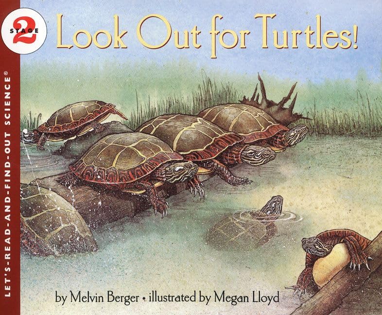 Look Out for Turtles! book cover