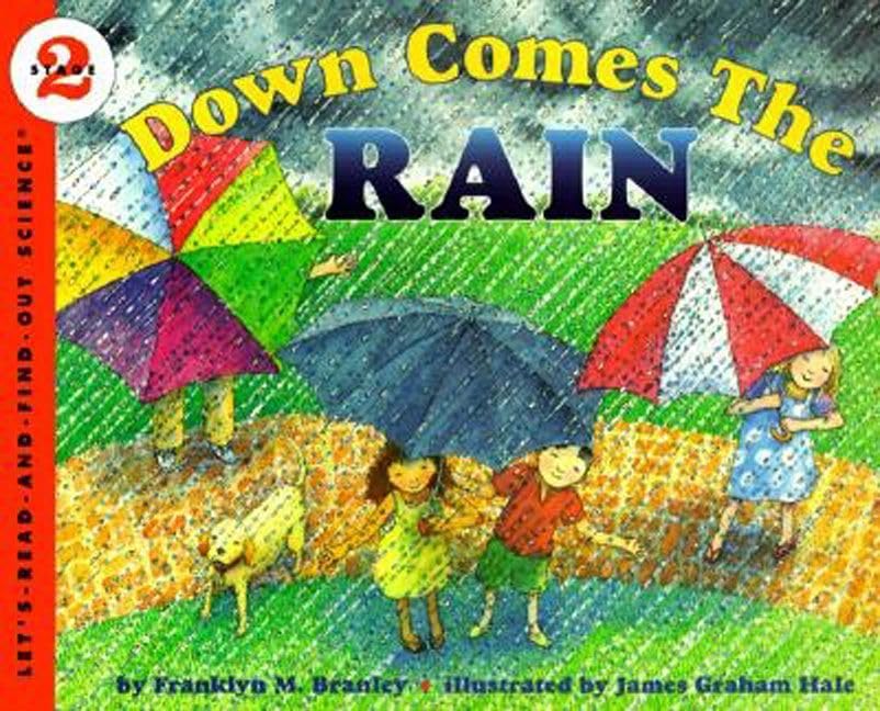 Down Comes the Rain book cover