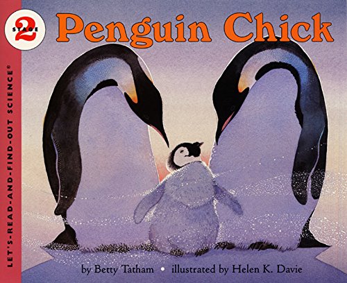 Penguin Chick (By: Betty Tatham) cover