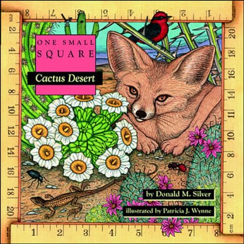 Cover of Cactus desert