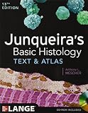 Junqueiras Basic Histology Text And Atlas