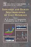 Infrared and raman spectroscopies of clay minerals