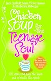 Chicken Soup For The Teenage Soul Stories Of Life Love And Learning