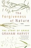The Forgiveness Of Nature