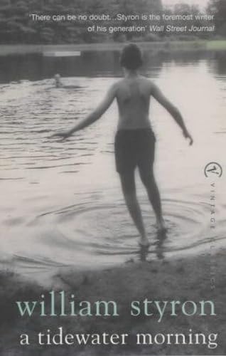A Tidewater Morning book cover