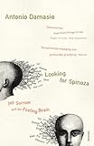 Looking For Spinoza Joy Sorrow And The Feeling Brain