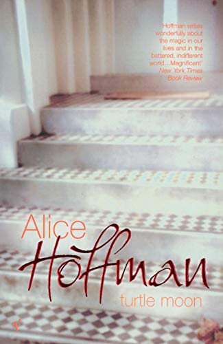 Turtle Moon book cover