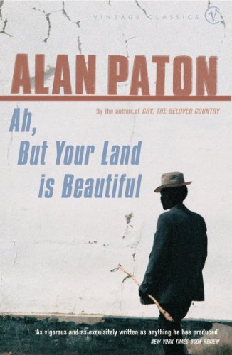 Ah But Your Land Is Beautiful book cover