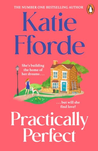 Practically Perfect book cover