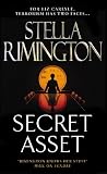 Secret Asset book cover