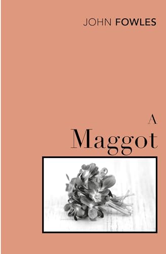 A Maggot book cover