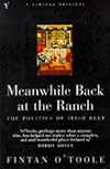 Meanwhile Back at the Ranch: The Politics of Irish Beef