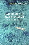 Haunts Of The Black Masseur The Swimmer As Hero