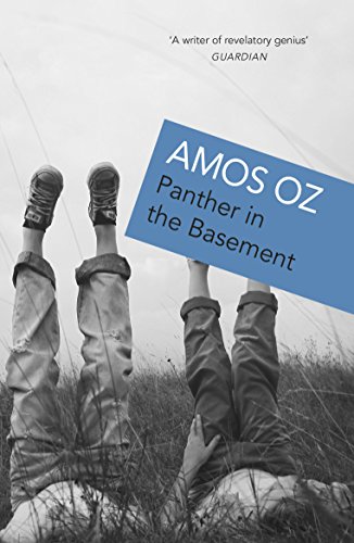 Panther in the Basement book cover