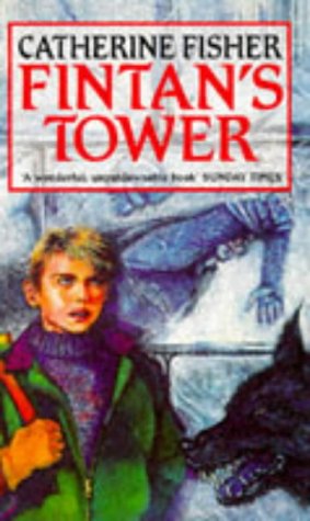 Fintan's Tower book cover