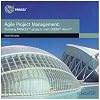 Agile Project Management: Running Prince2 Projects with DSDM Atern