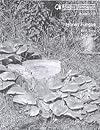 Honey Fungus (Bulletin)