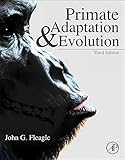 Primate Adaptation And Evolution