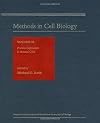 Protein Expression in Animal Cells