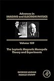The Leptonic Magnetic Monopole Theory And Experiments