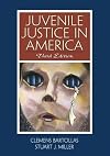Juvenile justice in America