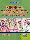 Medical terminology with human anatomy