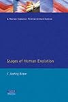 The stages of human evolution; human and cultural origins