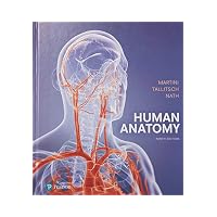 Human Anatomy