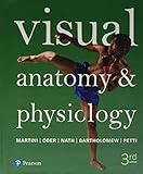 Visual Anatomy Physiology