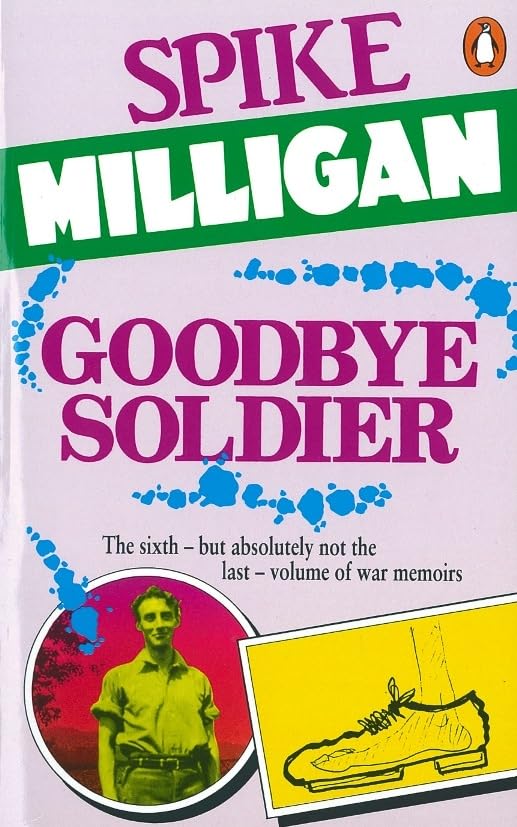 Goodbye Soldier book cover