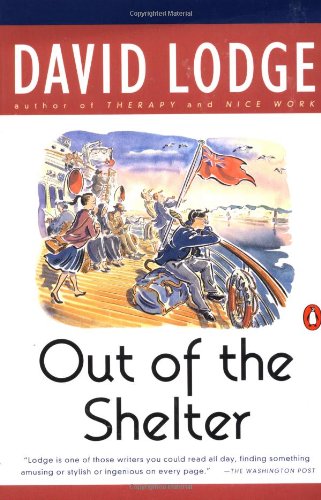 Out of the Shelter book cover