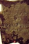 A Machynlleth Triad (Penguin fiction) (English and Welsh Edition)