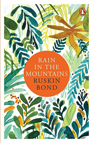 Rain in the Mountains book cover